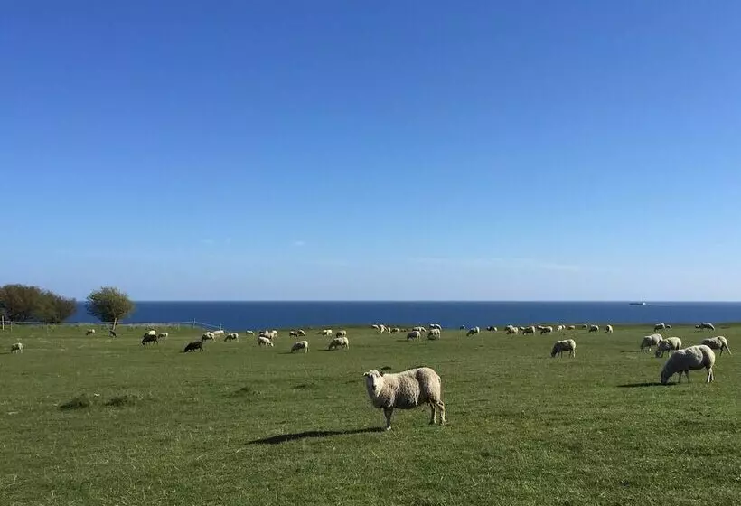 Retkeilymaja Kåseberga Hideout