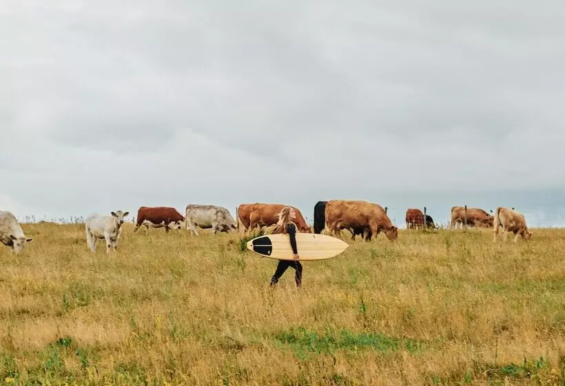 Retkeilymaja Kåseberga Hideout