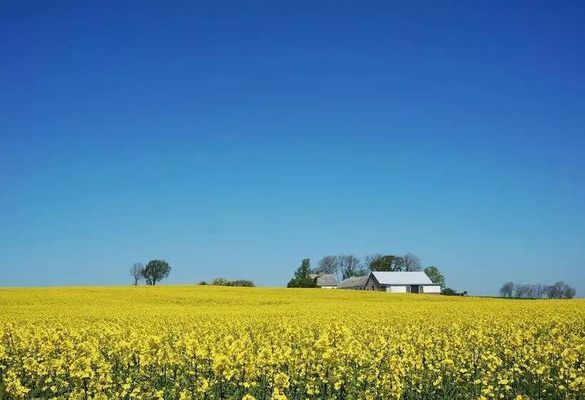 Retkeilymaja Kåseberga Hideout