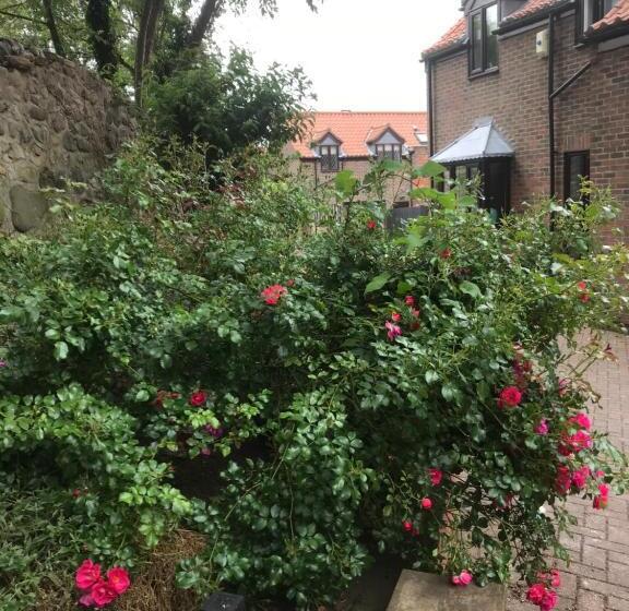 مبيت وإفطار Darceys In The Yard