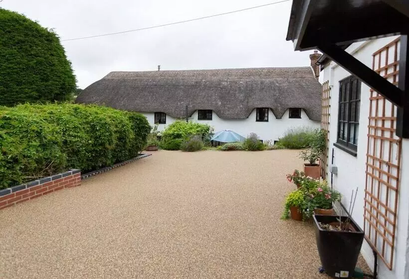 ベッドアンドブレックファースト Guest Suite At 31 Little England