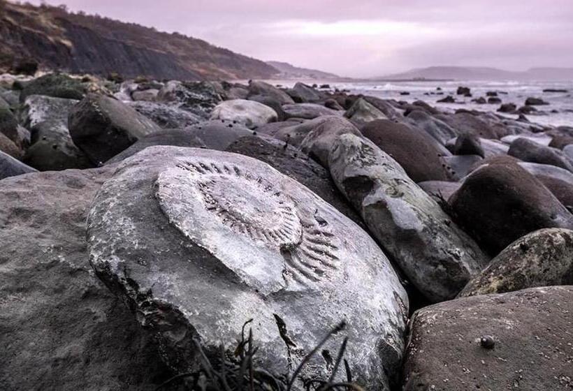 ベッドアンドブレックファースト Guest Suite At 31 Little England