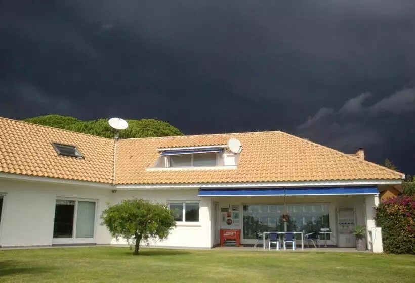 ベッドアンドブレックファースト Palm Maresme   Suite With Bathroom And Living Room And Terrasse With Ocean Views In A Private Villa