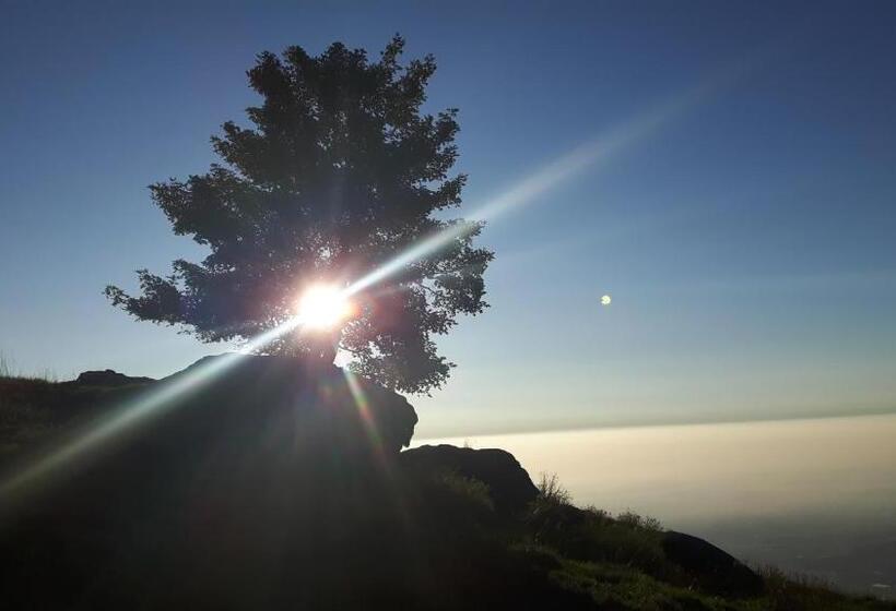 B&b La Coccinella Biologico