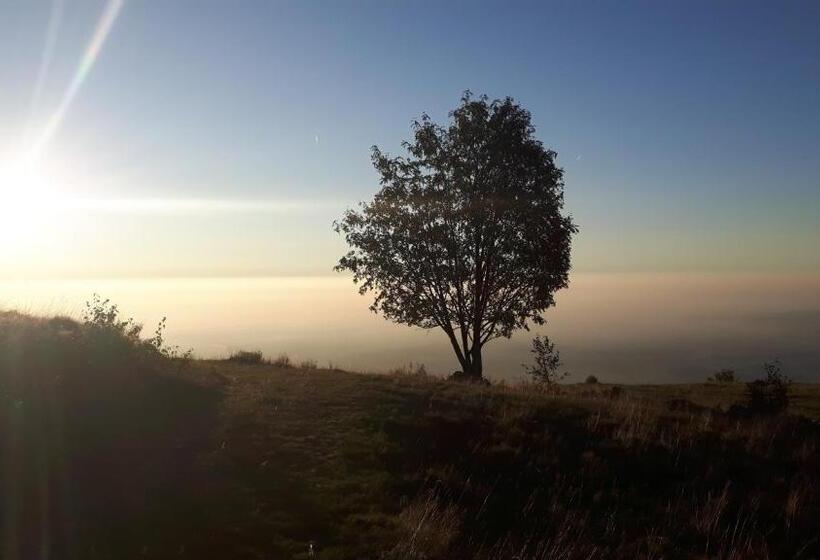 B&b La Coccinella Biologico