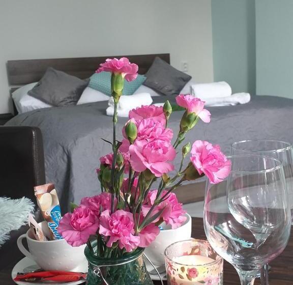 住宿加早餐 Monato