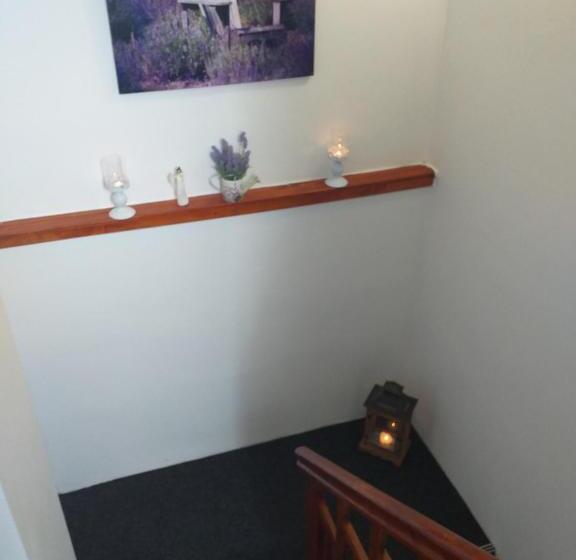 住宿加早餐 Monato