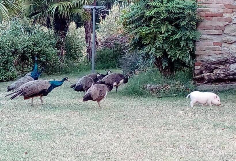 فندق La Cana Dolce