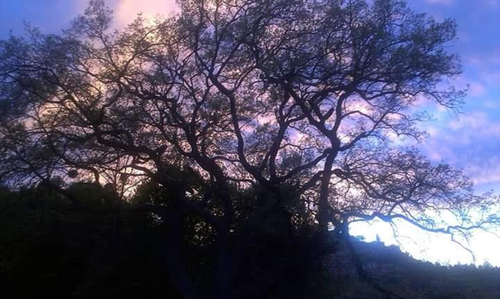 فندق La Cana Dolce