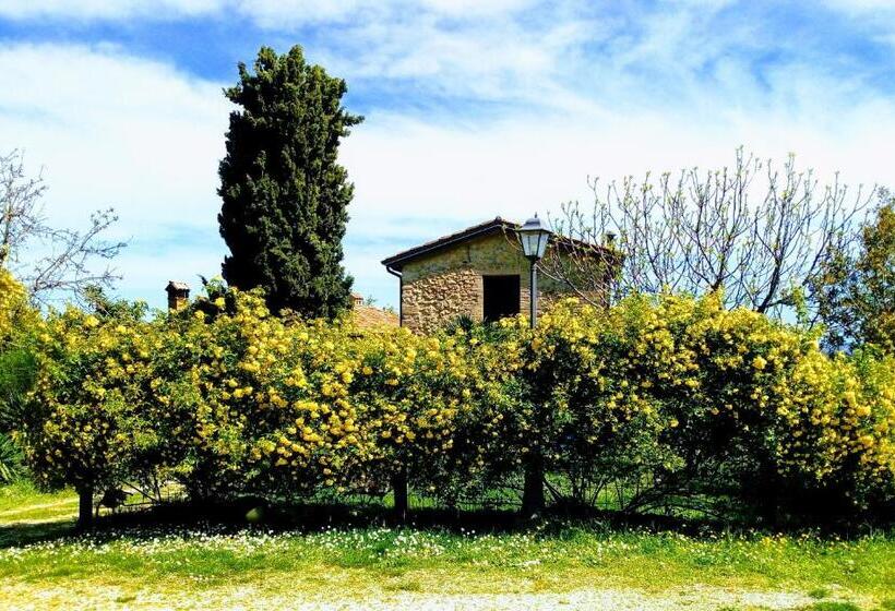 فندق La Cana Dolce