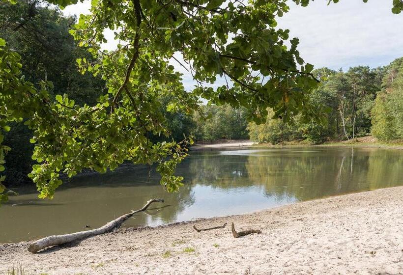 פנסיון De Stal