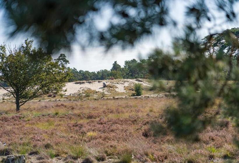 פנסיון De Stal