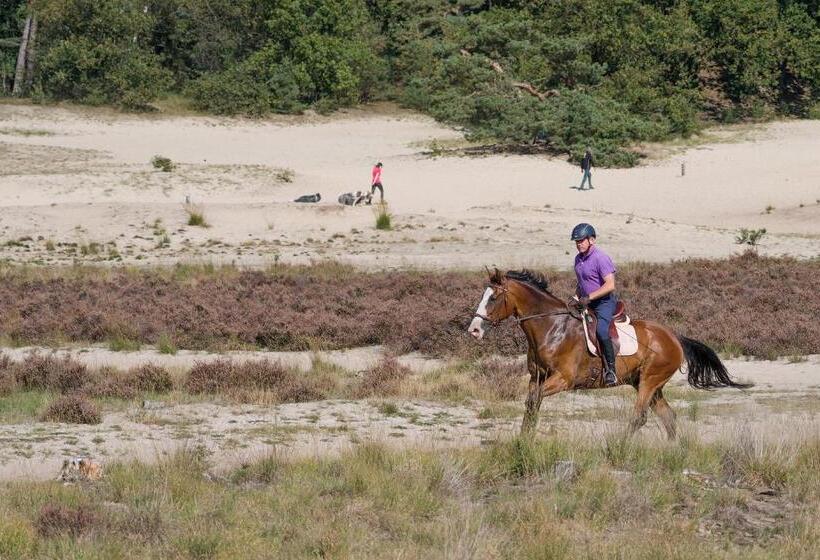 פנסיון De Stal