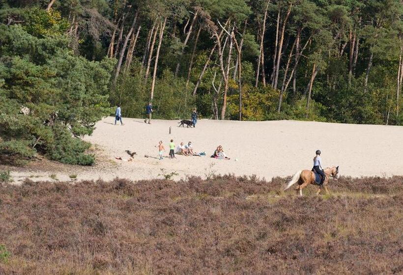 פנסיון De Stal