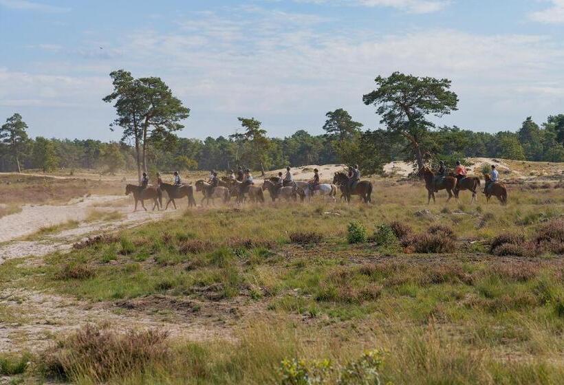 פנסיון De Stal