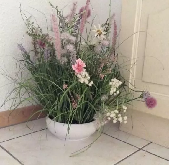 Majatalo Haus Willer