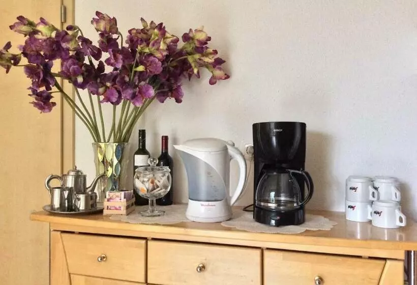 Majatalo Haus Willer