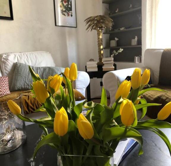 بنسيون Le Colombier