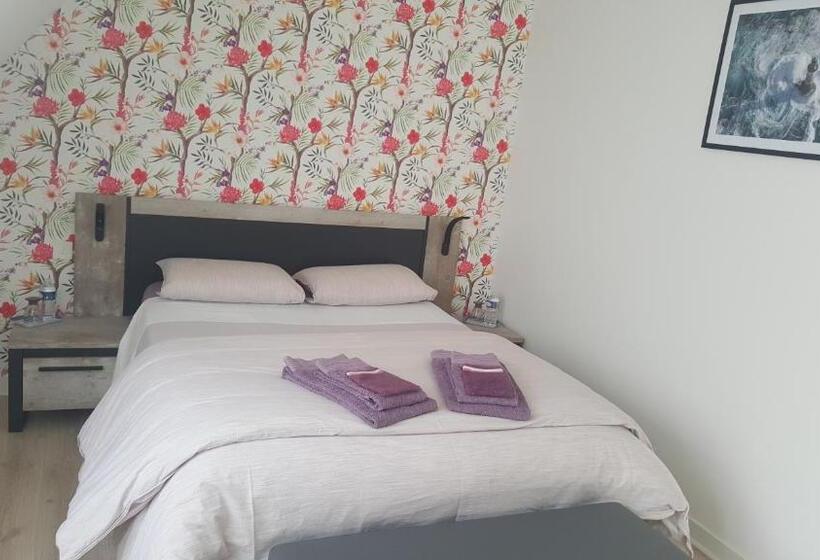 تختخواب و صبحانه Chambre D Hote Les Iles Concarneau