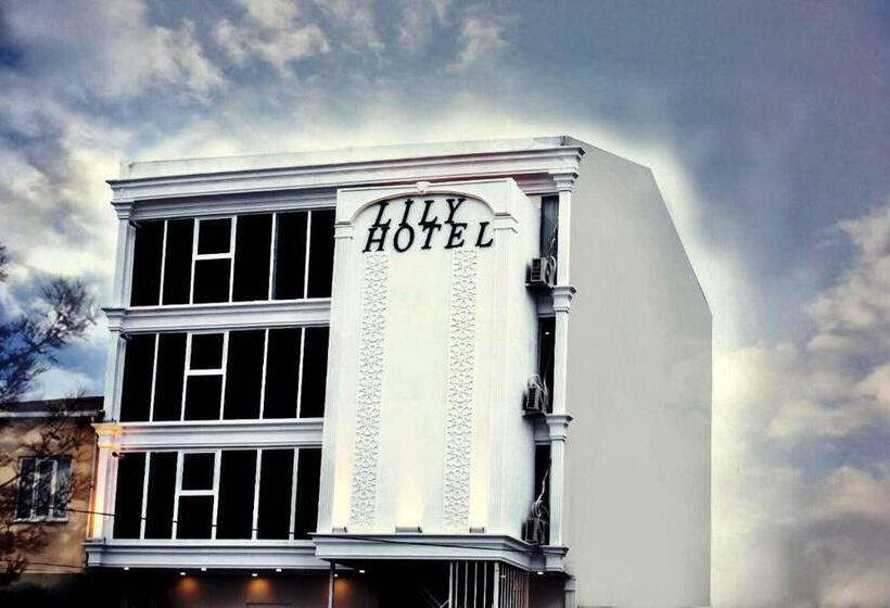 צימר Lily Airport Otel