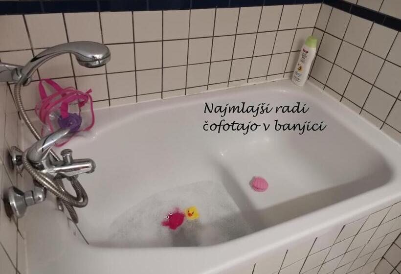 پانسیون Apartma Med Vinogradi