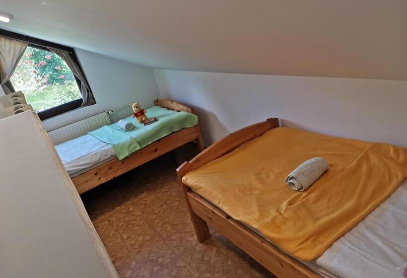 پانسیون Apartma Med Vinogradi