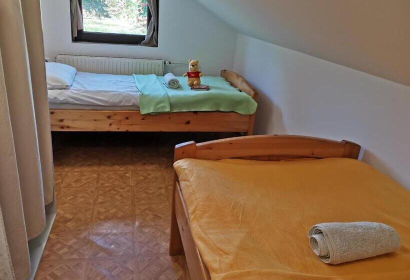 پانسیون Apartma Med Vinogradi