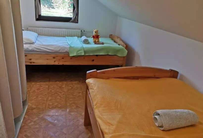 پانسیون Apartma Med Vinogradi