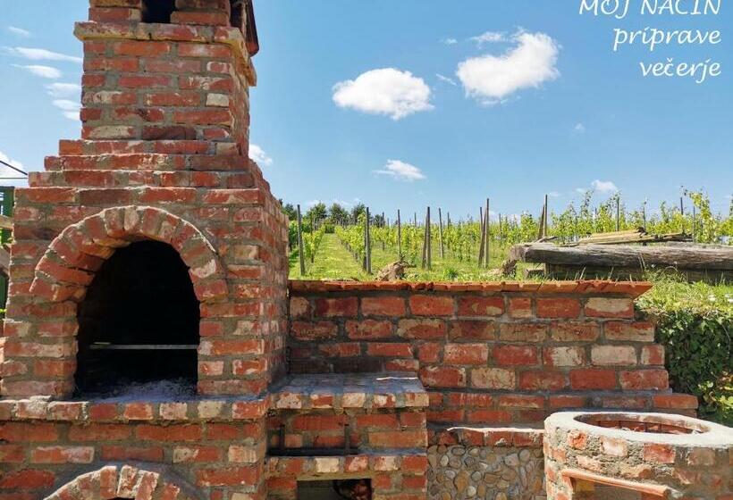 پانسیون Apartma Med Vinogradi