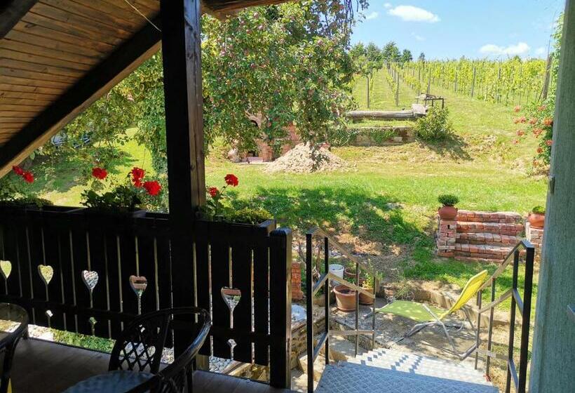 پانسیون Apartma Med Vinogradi