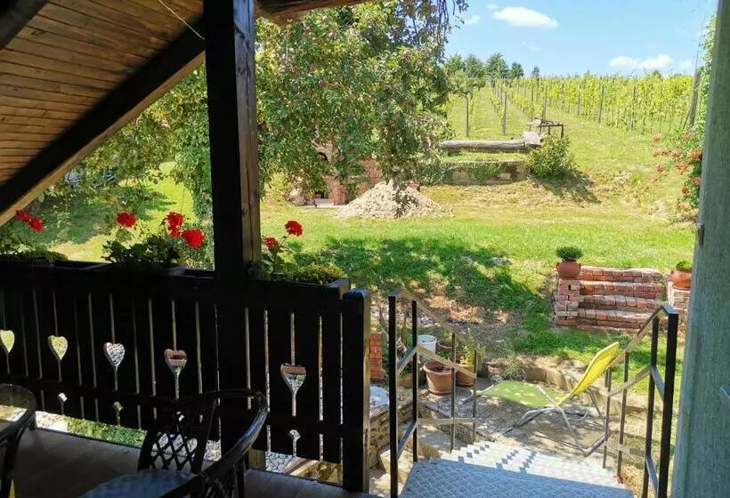 پانسیون Apartma Med Vinogradi
