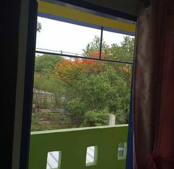 膳宿费 Big Mango@88 House