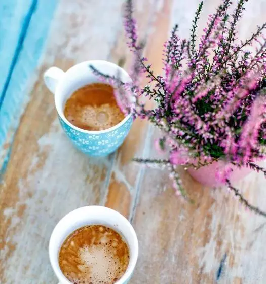 ペンション Borárium Vendégházak  Néró Ház