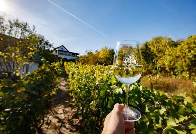 ペンション Borárium Vendégházak  Néró Ház