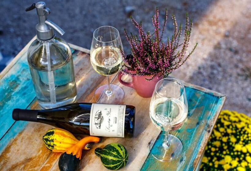 Pensjonat Borárium Vendégházak  Néró Ház