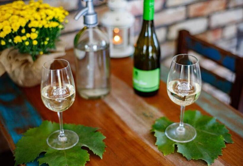 Pensjonat Borárium Vendégházak  Néró Ház