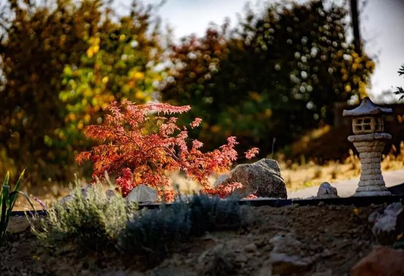 ペンション Borárium Vendégházak  Néró Ház