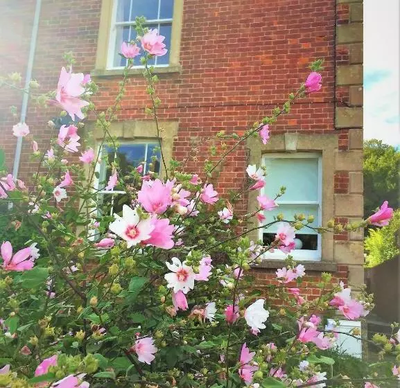 ペンション Bridport Garden Suite