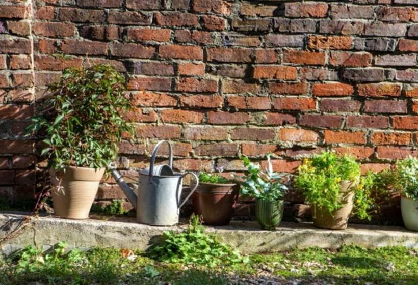 پانسیون Bridport Garden Suite