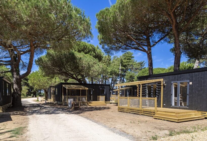 Domaine Résidentiel De Plein Air Odalys Tamarins Plage