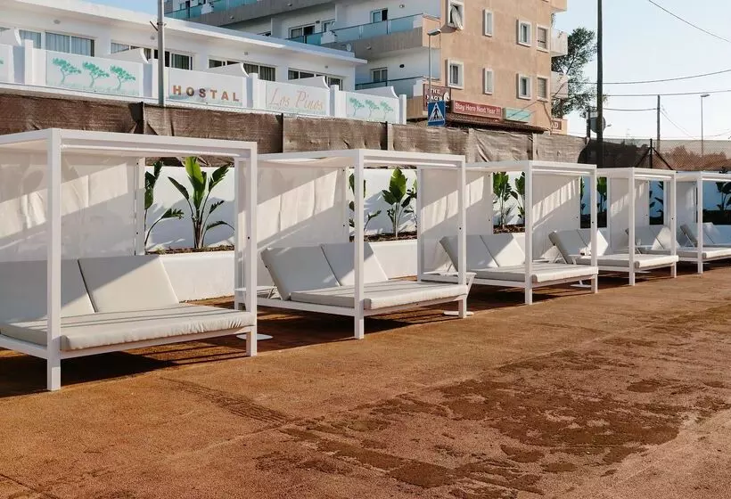 酒店 Aluasoul Ibiza  Adults Only