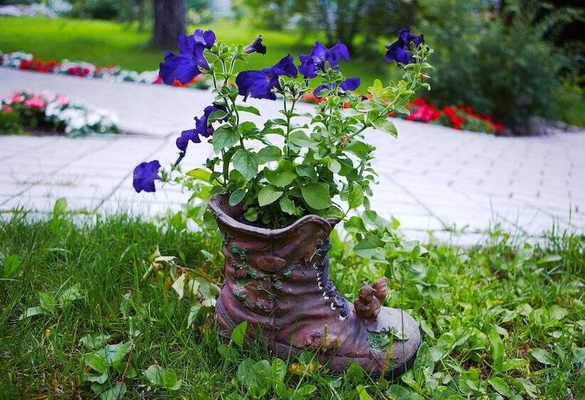 בית מלון כפרי Berezka