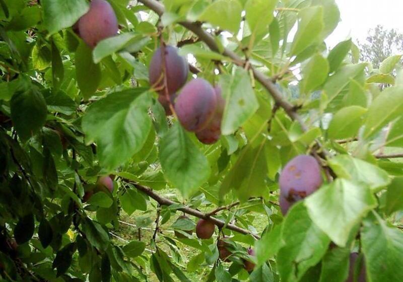 호텔 Kyriad Direct Agen