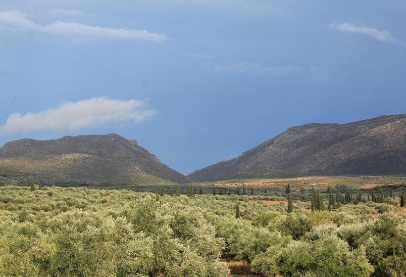 호텔 Liotrivi Historical Mansion & Boutique