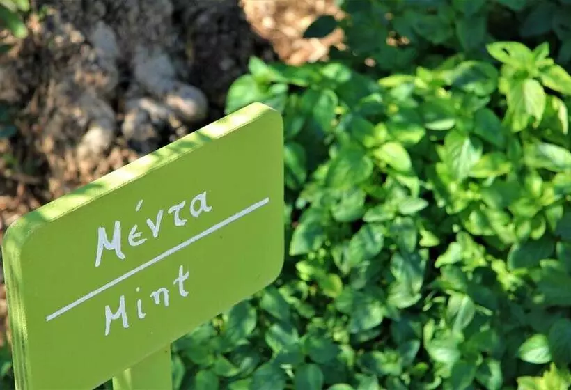 هتل Liotrivi Historical Mansion & Boutique