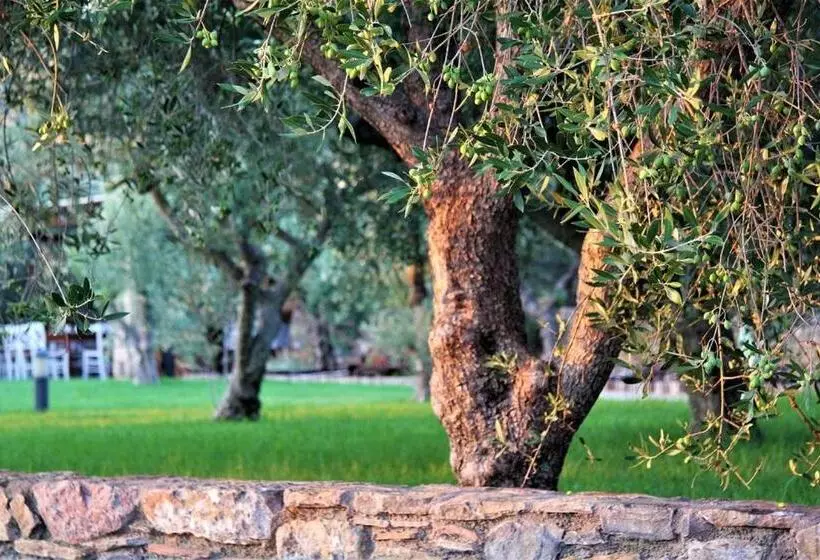 هتل Liotrivi Historical Mansion & Boutique