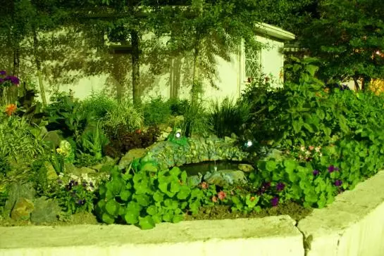 Отель Panama City