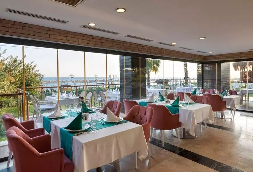 Sherwood Dreams Resort