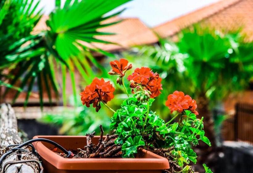 مبيت وإفطار Martina Paradise Affitta Camere