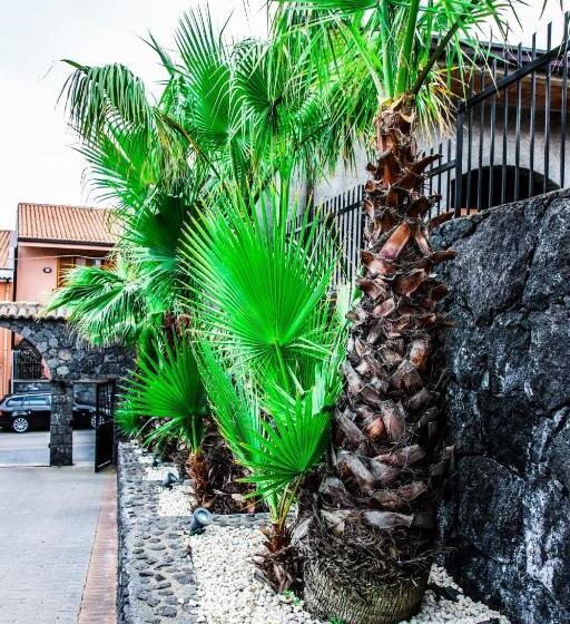 مبيت وإفطار Martina Paradise Affitta Camere